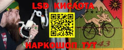 прущие крисы Бердск