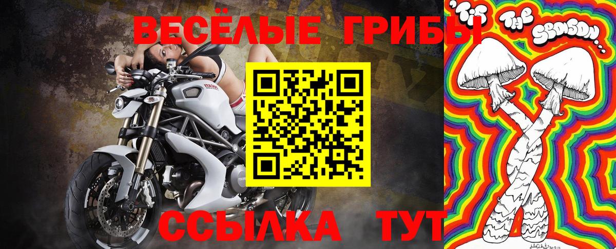 Псилоцибиновые грибы Cubensis Астрахань