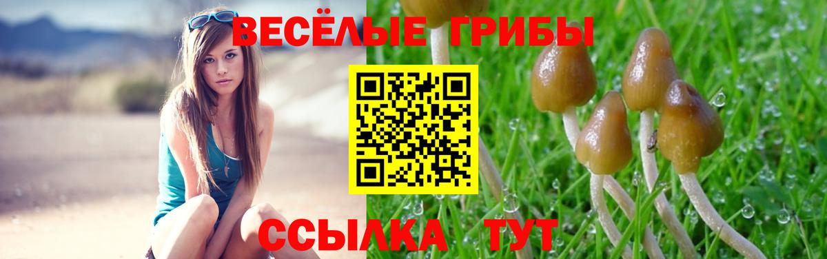 где купить наркоту  Вход с VPN  Астрахань  Псилоцибиновые грибы ЛСД 
